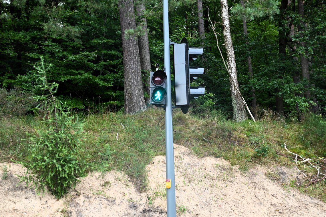 Bezpieczniej na ul. Kamiennej w Rumi — nowe oświetlenie i sygnalizacje świetlne